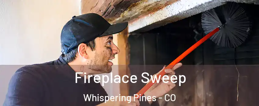 Fireplace Sweep Whispering Pines - CO