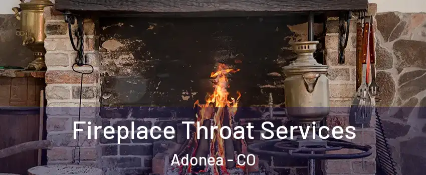 Fireplace Throat Services Adonea - CO