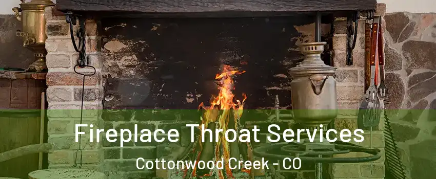 Fireplace Throat Services Cottonwood Creek - CO