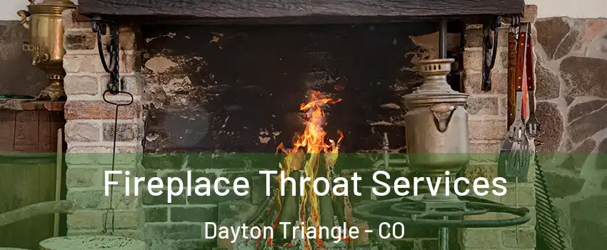 Fireplace Throat Services Dayton Triangle - CO