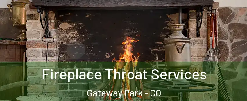 Fireplace Throat Services Gateway Park - CO
