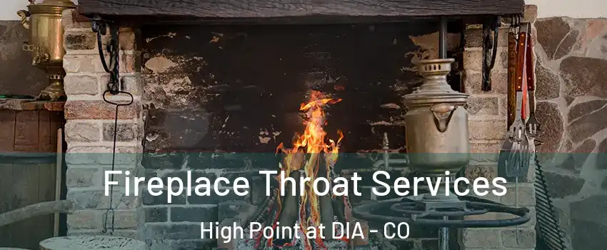 Fireplace Throat Services High Point at DIA - CO