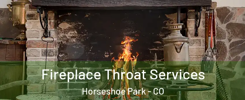 Fireplace Throat Services Horseshoe Park - CO