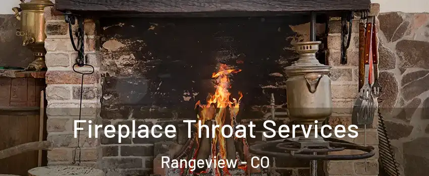 Fireplace Throat Services Rangeview - CO
