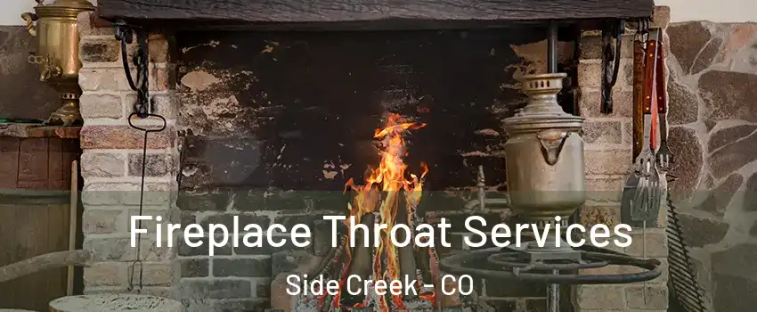 Fireplace Throat Services Side Creek - CO