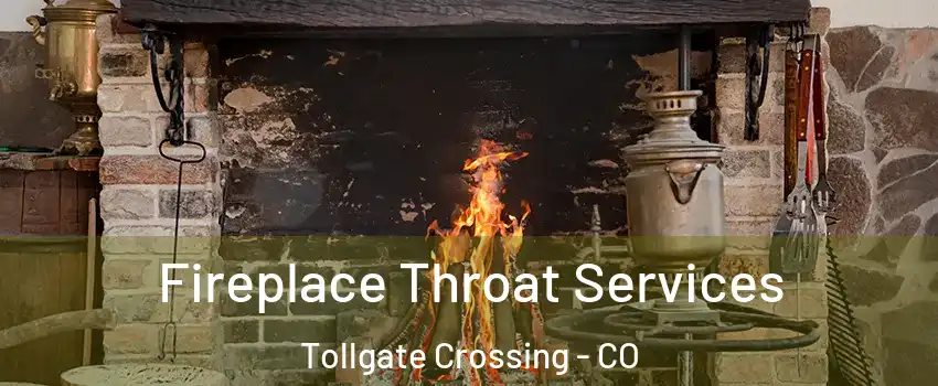 Fireplace Throat Services Tollgate Crossing - CO