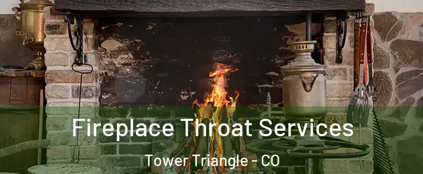 Fireplace Throat Services Tower Triangle - CO