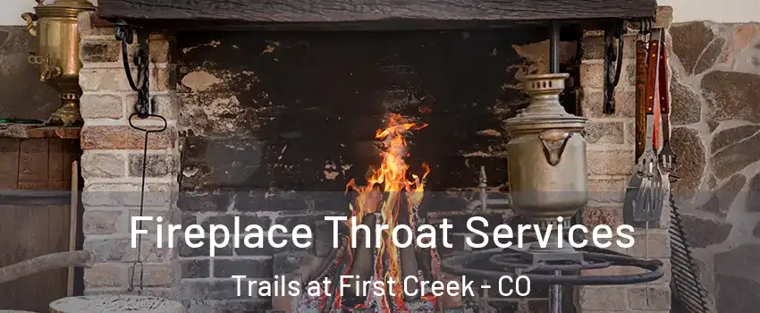 Fireplace Throat Services Trails at First Creek - CO