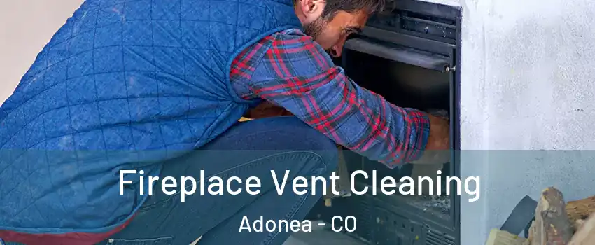 Fireplace Vent Cleaning Adonea - CO