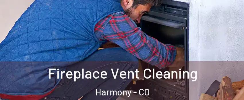 Fireplace Vent Cleaning Harmony - CO
