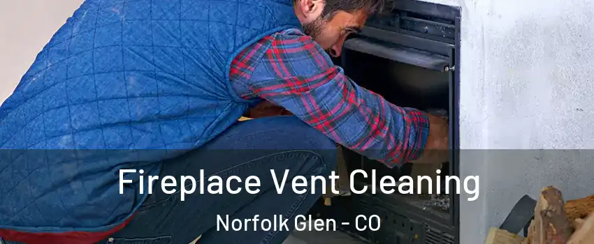 Fireplace Vent Cleaning Norfolk Glen - CO