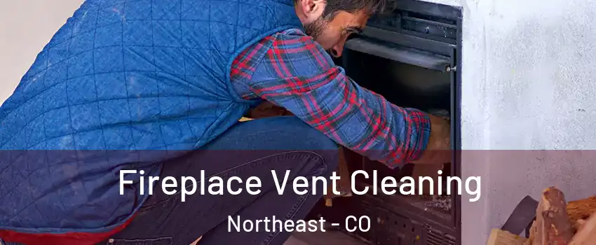 Fireplace Vent Cleaning Northeast - CO