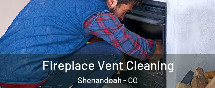 Fireplace Vent Cleaning Shenandoah - CO