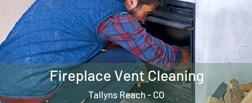 Fireplace Vent Cleaning Tallyns Reach - CO