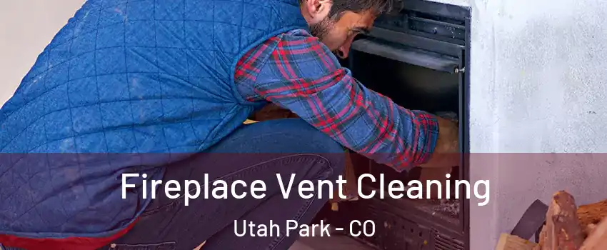 Fireplace Vent Cleaning Utah Park - CO