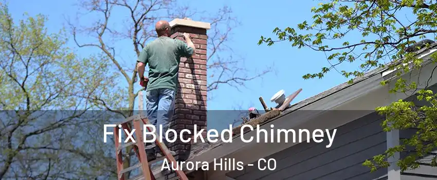 Fix Blocked Chimney Aurora Hills - CO