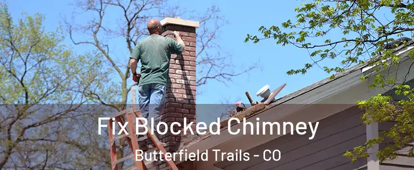 Fix Blocked Chimney Butterfield Trails - CO