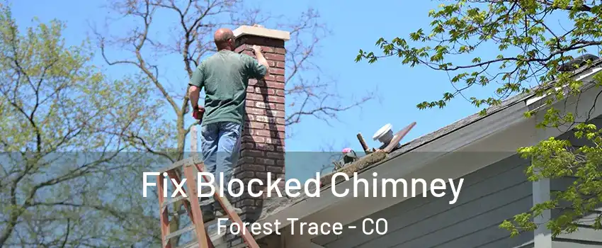 Fix Blocked Chimney Forest Trace - CO