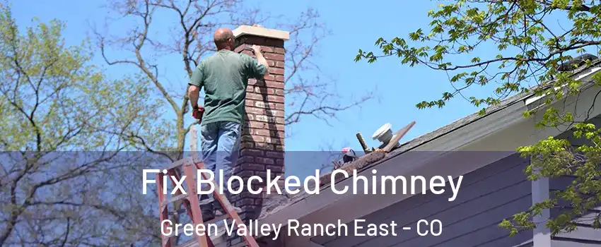 Fix Blocked Chimney Green Valley Ranch East - CO
