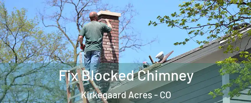 Fix Blocked Chimney Kirkegaard Acres - CO