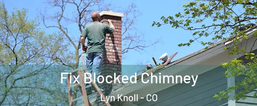Fix Blocked Chimney Lyn Knoll - CO