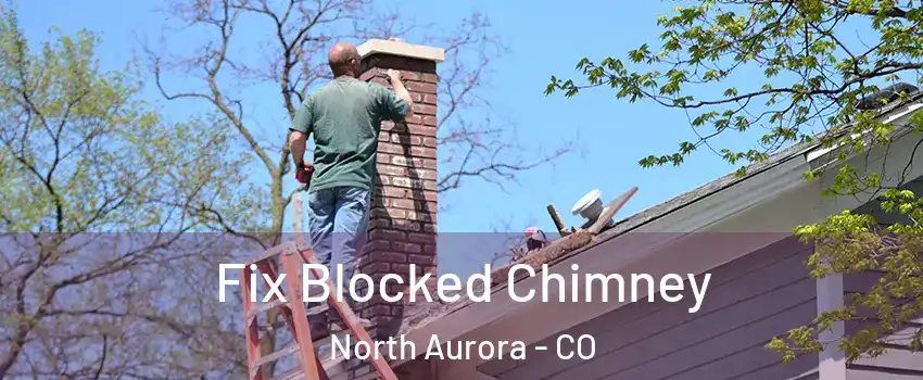 Fix Blocked Chimney North Aurora - CO