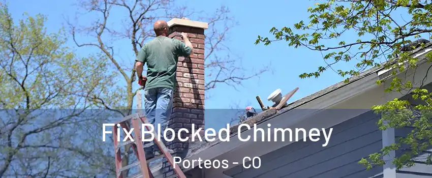 Fix Blocked Chimney Porteos - CO