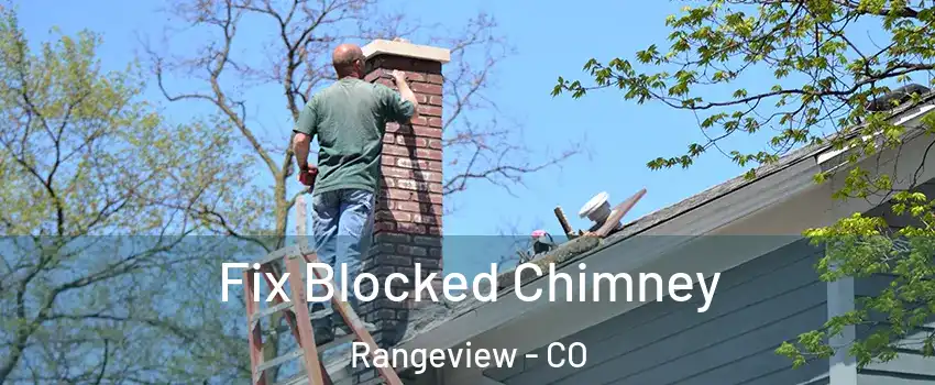 Fix Blocked Chimney Rangeview - CO