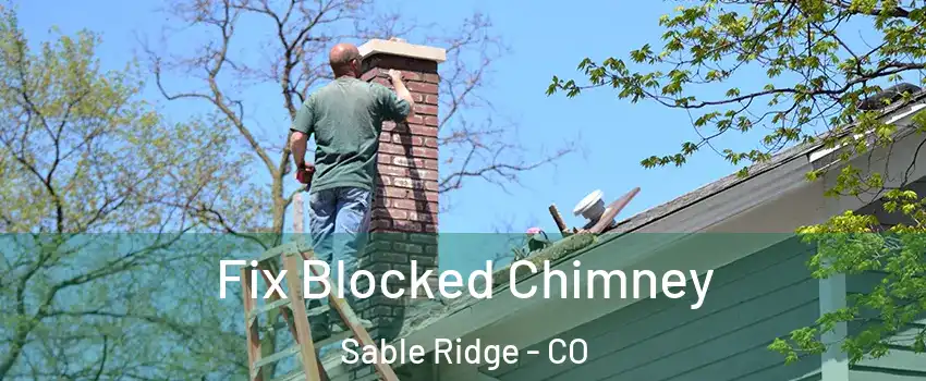 Fix Blocked Chimney Sable Ridge - CO