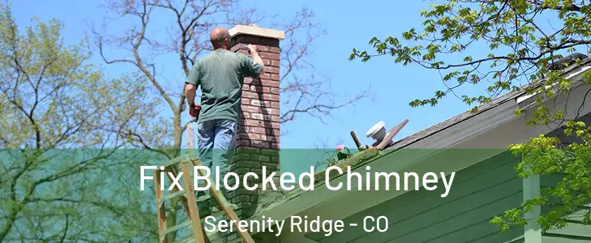 Fix Blocked Chimney Serenity Ridge - CO
