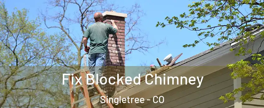 Fix Blocked Chimney Singletree - CO
