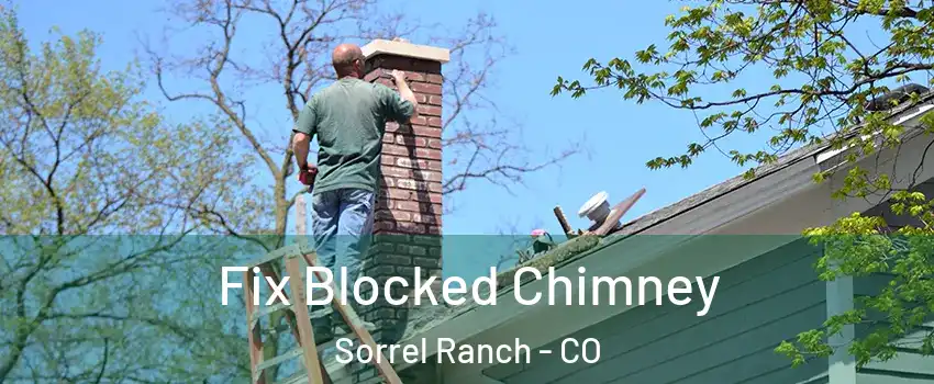 Fix Blocked Chimney Sorrel Ranch - CO