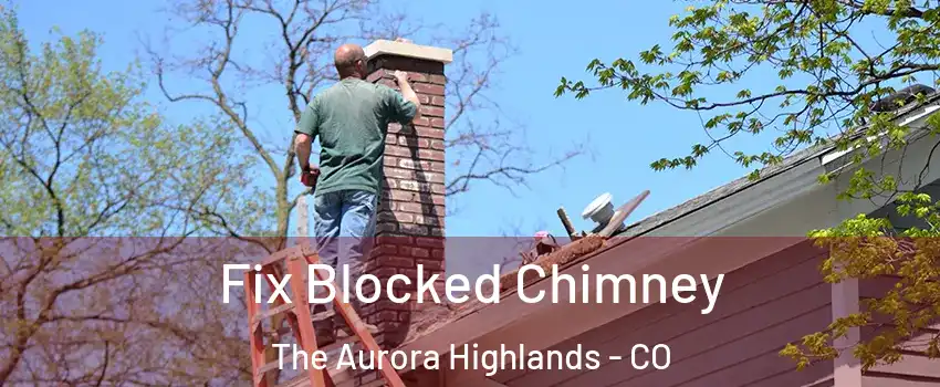 Fix Blocked Chimney The Aurora Highlands - CO