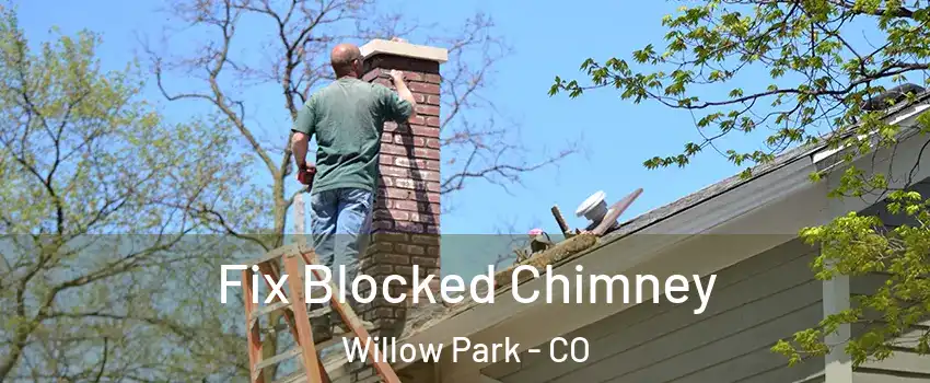Fix Blocked Chimney Willow Park - CO