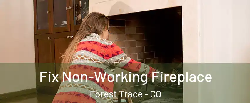 Fix Non-Working Fireplace Forest Trace - CO