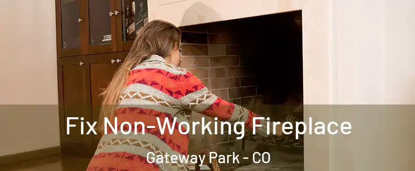 Fix Non-Working Fireplace Gateway Park - CO