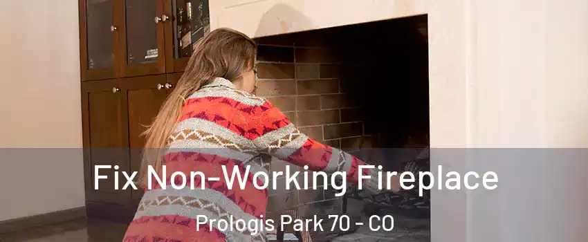 Fix Non-Working Fireplace Prologis Park 70 - CO