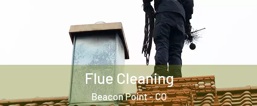 Flue Cleaning Beacon Point - CO