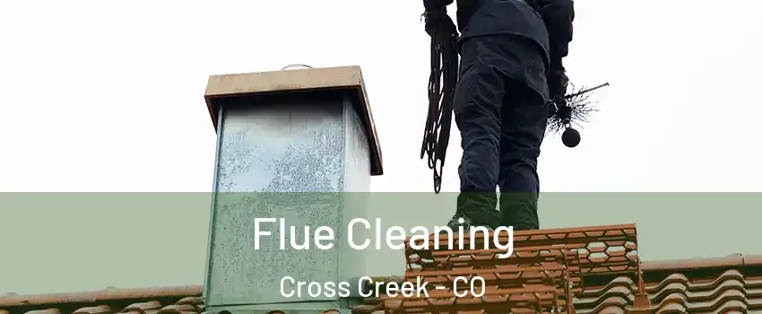 Flue Cleaning Cross Creek - CO