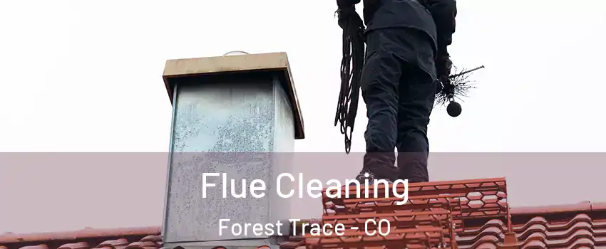 Flue Cleaning Forest Trace - CO