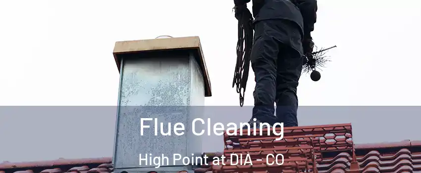 Flue Cleaning High Point at DIA - CO
