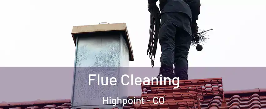 Flue Cleaning Highpoint - CO
