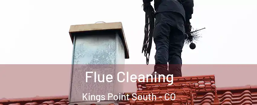 Flue Cleaning Kings Point South - CO