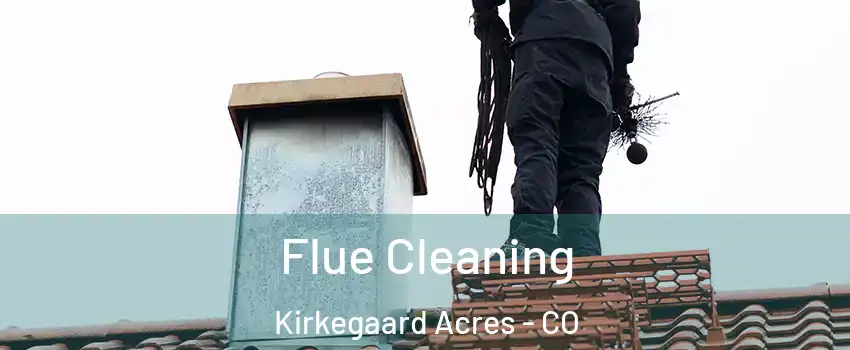 Flue Cleaning Kirkegaard Acres - CO