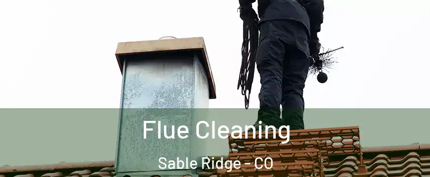 Flue Cleaning Sable Ridge - CO