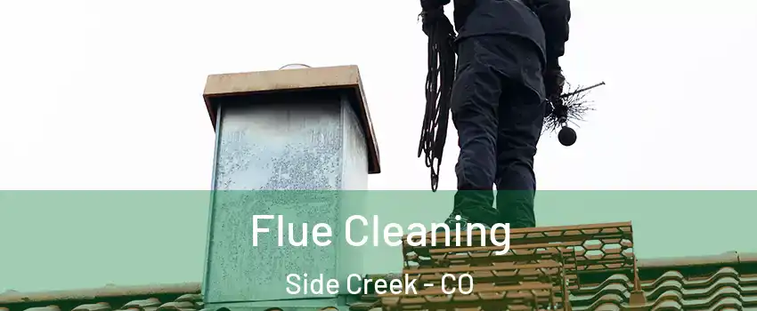 Flue Cleaning Side Creek - CO