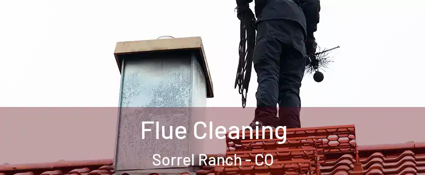 Flue Cleaning Sorrel Ranch - CO