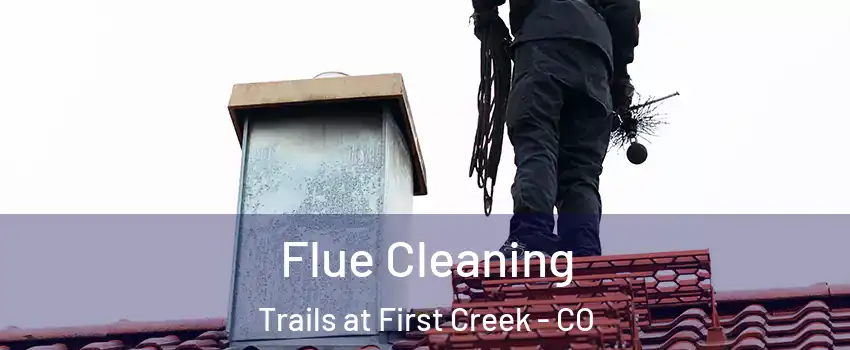 Flue Cleaning Trails at First Creek - CO