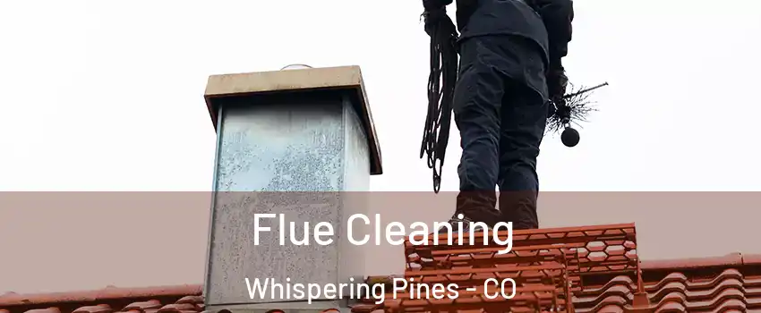 Flue Cleaning Whispering Pines - CO