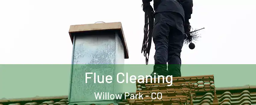Flue Cleaning Willow Park - CO